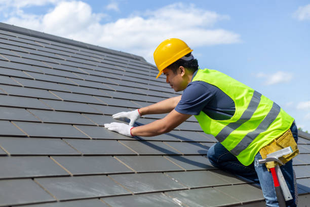 Best Roof Gutter Cleaning  in Chesaning, MI