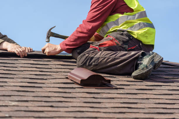 Best Residential Roof Replacement  in Chesaning, MI