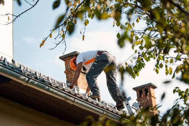 Best Best Roofing Contractors  in Chesaning, MI