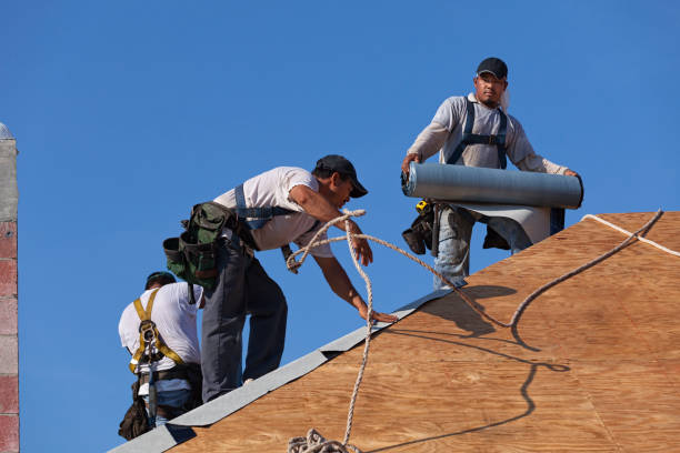 Best Roof Waterproofing Services  in Chesaning, MI
