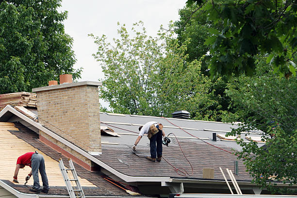 Best Roof Maintenance Services  in Chesaning, MI