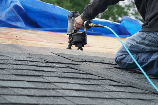 Best Flat Roof Repair Services  in Chesaning, MI