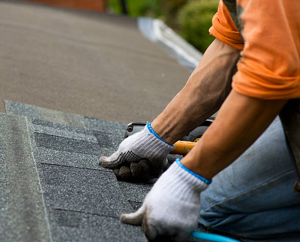 Roof Gutter Cleaning in Chesaning, MI