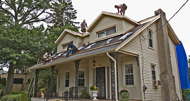 Best New Roof Installation  in Chesaning, MI
