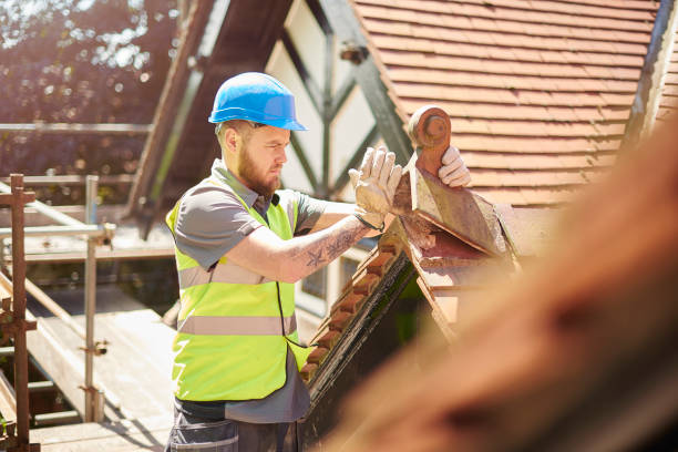 Best Residential Roofing Contractor  in Chesaning, MI