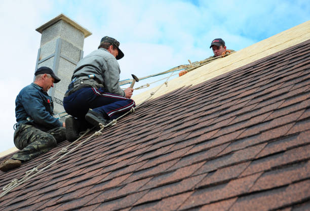 Professional Roofing Contractor in Chesaning, MI