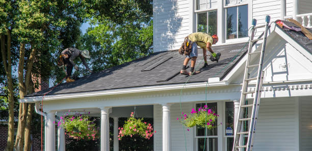 Best Roof Leak Repair  in Chesaning, MI
