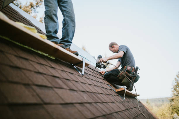 Best New Roof Installation  in Chesaning, MI