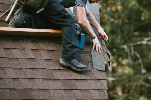 Best Roof Leak Repair  in Chesaning, MI