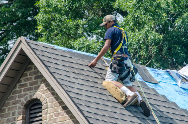 Residential Roof Replacement in Chesaning, MI