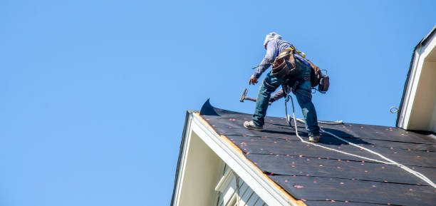 Best New Roof Installation  in Chesaning, MI